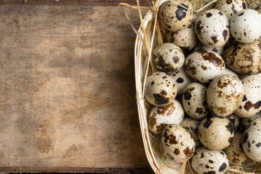 Kırsal ahşap arka planda bir yuvadaki bıldırcın yumurtaları. Sağlıklı gıda konsepti.