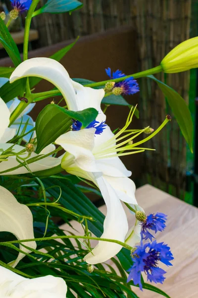 bouquet of white lily and blue cornflower. Summer flower. Celebration flowers