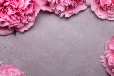 güzel taze peonies ahşap yüzey üzerinde. Gri arka plan üzerinde pembe peonies çarpıcı. Kopya alanı
