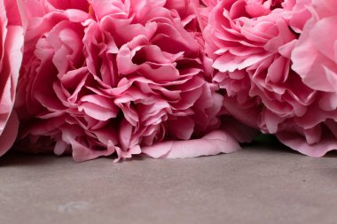 güzel taze peonies ahşap yüzey üzerinde. Gri arka plan üzerinde pembe peonies çarpıcı. Kopya alanı