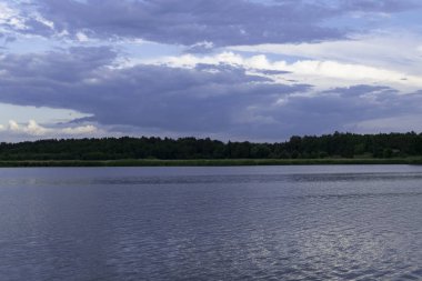 Resimli orman ve nehir.