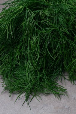 Taze yeşil gri arka plan, metin alanı üzerinde Bahçe dereotu demetleri. Gıda ve beslenme.