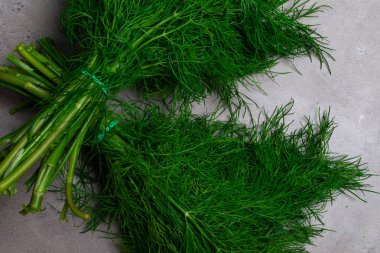 Taze yeşil gri arka plan, metin alanı üzerinde Bahçe dereotu demetleri. Gıda ve beslenme.