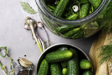 Salatalık dekapaj için. Taze salatalık dereotu, sarımsak ve baharat ile konserve için hazır.