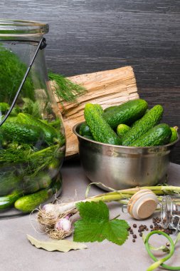 ham salatalık dekapaj için. Taze salatalık hazır konserve dereotu, frenk üzümü yaprağı, biber, sarımsak ve baharat gri backgroud ve ahşap dekorasyon