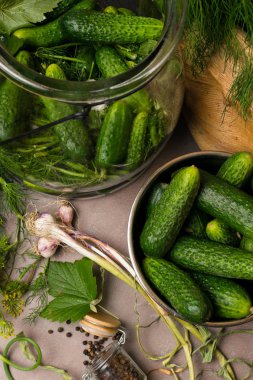 Gri tablo-salatalık, sarımsak, dereotu tohum, frenk üzümü yaprağı, biber, baharat ve baharat olarak korunması için malzemeler. Seçici odak