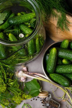 Gri tablo-salatalık, sarımsak, dereotu tohum, frenk üzümü yaprağı, biber, baharat ve baharat olarak korunması için malzemeler. Seçici odak