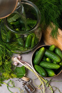 ham salatalık dekapaj için. Taze salatalık hazır konserve dereotu, frenk üzümü yaprağı, biber, sarımsak ve baharat gri backgroud ve ahşap dekorasyon. Seçici odak