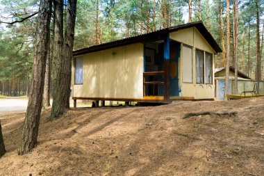 Ahşap evler, campisites çam ormanı, sağlık yaşam tarzı içinde. Gevşeme ve uyum