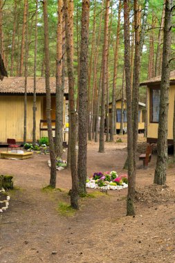 Ahşap evler, campisites çam ormanı, sağlık yaşam tarzı içinde. Gevşeme ve uyum