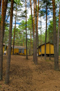 Ahşap evler, campisites çam ormanı, sağlık yaşam tarzı içinde. Gevşeme ve uyum