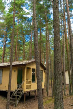 Ahşap evler, campisites çam ormanı, sağlık yaşam tarzı içinde. Gevşeme ve uyum