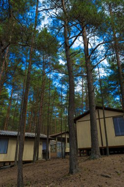 Ahşap evler, campisites çam ormanı, sağlık yaşam tarzı içinde. Gevşeme ve uyum