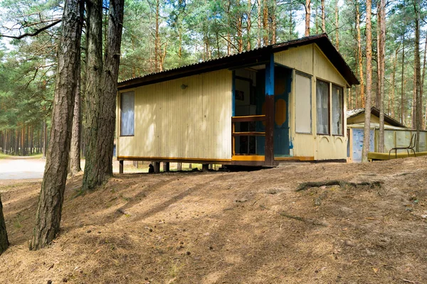 Ahşap evler, campisites çam ormanı, sağlık yaşam tarzı içinde. Gevşeme ve uyum