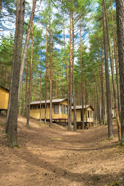 Ahşap evler, campisites çam ormanı, sağlık yaşam tarzı içinde. Gevşeme ve uyum