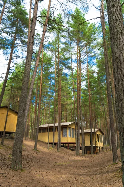 Ahşap evler, campisites çam ormanı, sağlık yaşam tarzı içinde. Gevşeme ve uyum