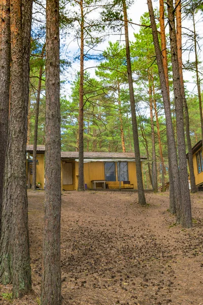 Ahşap evler, campisites çam ormanı, sağlık yaşam tarzı içinde. Gevşeme ve uyum