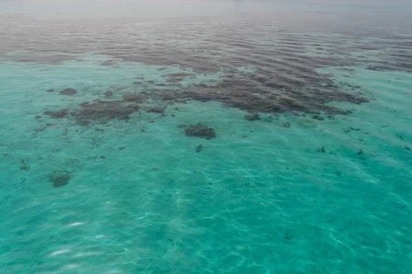 Background Image Turquoise Sea Deep Sea Corals Top View Beautiful — Free Stock Photo