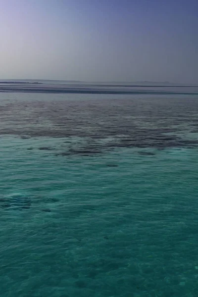 Immagine Sfondo Del Mare Turchese Mare Profondo Coralli Vista Dall — Foto stock gratuita