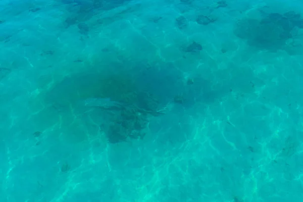 Immagine Sfondo Del Mare Turchese Mare Profondo Coralli Vista Dall — Foto Stock