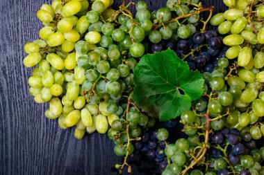 Panoları, lezzetli yemekler, resveratrol zengin Mix taze üzüm