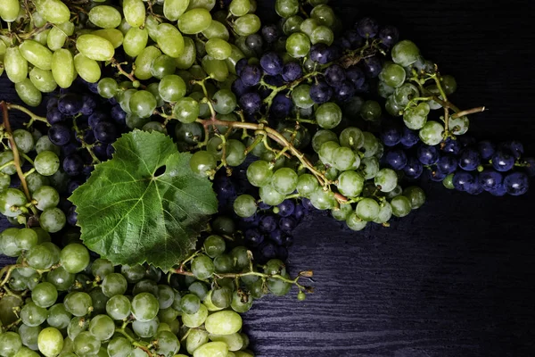 Смесь Свежего Винограда Досках Вкусная Еда Богатая Ресвератролом — стоковое фото