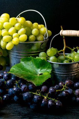 Taze çekilmiş üzüm, hasat üzüm, resveratrol ile metal kova