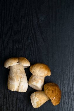 Ahşap arka plan üzerinde mantar çörek. Sonbahar Cep mantar. Ceps Boletus Mantarı ahşap koyu arka plan üzerinde ahşap rustik masanın üzerine kapatın. Lezzetli organik mantar yemek. Gurme yiyecekler