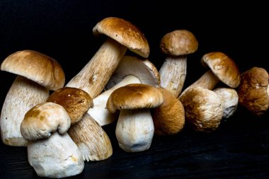 Ahşap arka plan üzerinde mantar çörek. Sonbahar Cep mantar. Ceps Boletus Mantarı ahşap koyu arka plan üzerinde ahşap rustik masanın üzerine kapatın. Lezzetli organik mantar yemek. Gurme yiyecekler