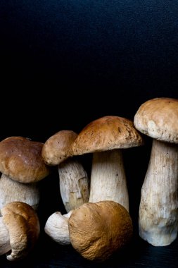 Autumn Cep Mantarları. Boletus Edulis 'i Tahta Karanlık Arkaplan' ın üzerinde, ahşap kırsal masaya yakın tutuyor. Lezzetli organik mantar pişiriyorum. Gurme yemekleri.
