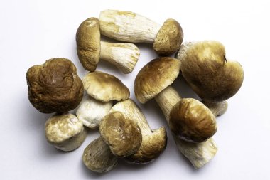 Beyaz arka plan üzerinde mantar çörek. Sonbahar Cep mantar. Ceps Boletus Mantarı, yemek lezzetli organik mantar kadar kapatın. Gurme yiyecekler