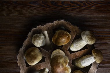 Sonbahar Cep mantar ahşap kutusunda Ceps Boletus Mantarı ahşap koyu arka plan üzerinde ahşap rustik masanın üzerine kapatın. Lezzetli organik mantar yemek. Gurme yiyecekler