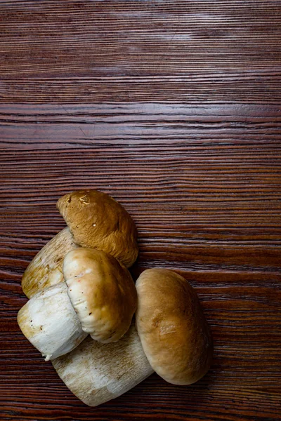 Autumn Cep Mushrooms Ceps Boletus Edulis Wooden Dark Background Close — Stock Photo, Image