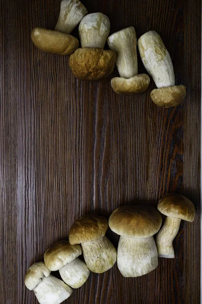 Podzimní Houby Ceps Boletus Edulis Wooden Dark Background Close Wood — Stock fotografie