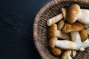 Sonbahar Cep mantar. Porcini sepetle ahşap arka plan üzerinde mantar. -Ahşap rustik masaya kadar kapatın. Lezzetli organik mantar yemek. Metin için boş alan