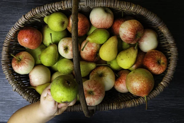 Cesta Manzanas Peras Ecológicas Imperfectas Frutas Saludables Vitaminas Pequeño Bebé — Foto de Stock