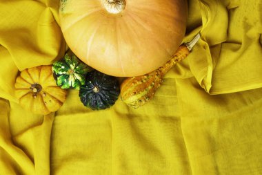 Olgun yeşil ve Turuncu kabak sarı düşen yapraklar, Şükran günü arasında sarı değişik kullanım amaclı kumaş üzerine yalan.