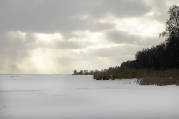 Zonsondergang Prachtige Winter Met Bomen Sneeuw Winterlandschap Met Een Bos — Stockfoto