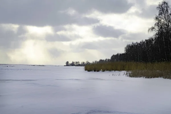 Zonsondergang Prachtige Winter Met Bomen Sneeuw Winterlandschap Met Een Bos — Stockfoto