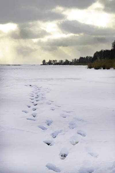 Zonsondergang Bevroren Meer Rivier Bos Voetstappen Voetafdruk Tracks Sneeuw — Stockfoto