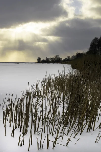 Winterlandschaft Mit Schneebedecktem Winterfeld Und Gefrorenen Pflanzen Bei Sonnenuntergang Hohes — Stockfoto