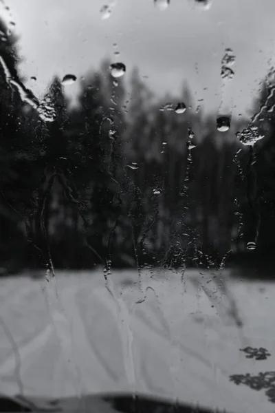 Gouttes Pluie Sur Fenêtre Verre Avec Fond Forêt Hiver — Photo