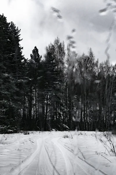 Gotas Lluvia Sobre Ventana Cristal Con Fondo Bosque Invierno — Foto de Stock