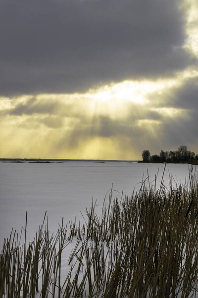 Winter landscape with the snowy winter field and frozen plants at sunset Tall grass and reeds by the frozen lake with sun set — Stock Image Winter Landscape Snowy Winter Field Frozen Plants Sunset Tall Grass — Stock Photo, Image