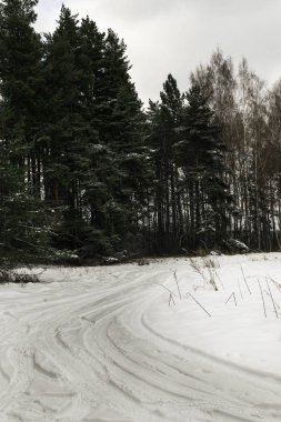 Road, sadece kar yıkılmasından sonra güzel kış manzara orman, karlı ağaç ve frost Karayolu ile kış