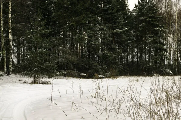冬の雪の落下の直後後の道路 雪の木と霜道の美しい冬の風景 — ストック写真