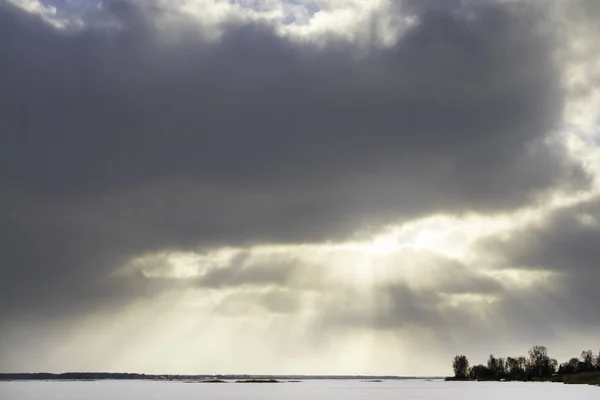 Maestoso Paesaggio Invernale Albero Sotto Luce Del Sole Tramonto Natale — Foto stock gratuita