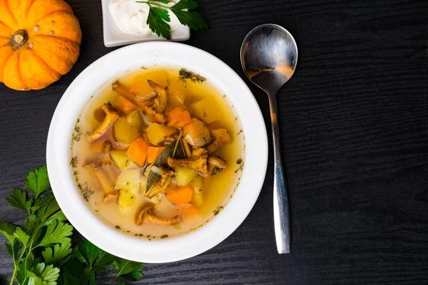 Sopa Champiñones Otoño Con Pollo Calabaza Crema Agria Hoja Laurel — Foto de Stock