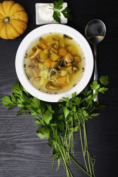 Sopa Champiñones Otoño Con Pollo Calabaza Crema Agria Hoja Laurel — Foto de Stock