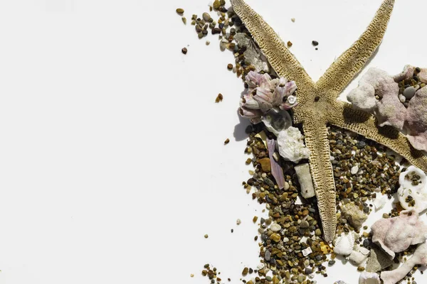 Морские Звезды Морские Раковины Песке Изолированы Белом Фоне Концепция Путешествия — стоковое фото